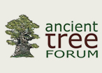 ancient tree forum