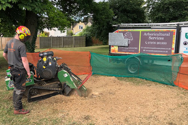 stump removal and stump treatment